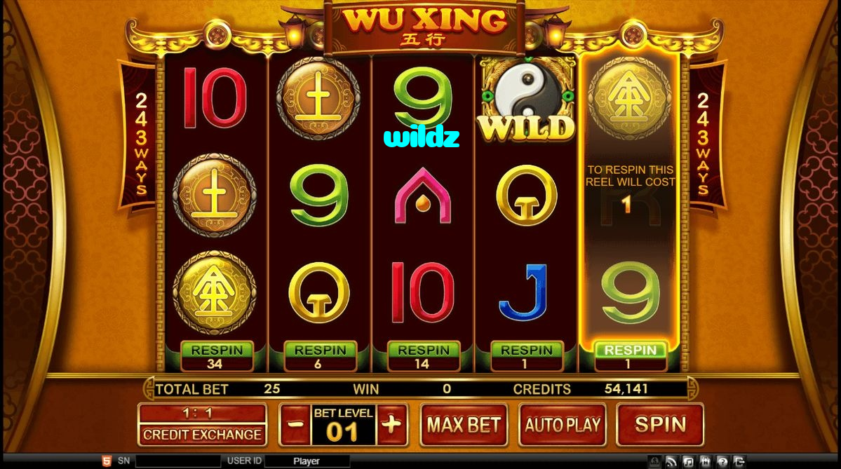 available types of wildz bet including pre-match live express and system bets